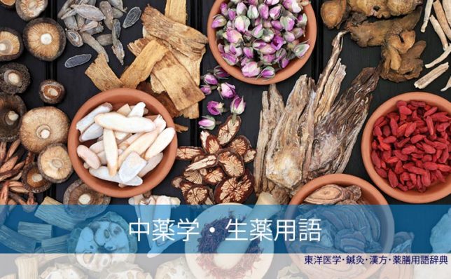 生薬中薬学用語(C)東洋医学・鍼灸・漢方辞典dictionary oriental medicine